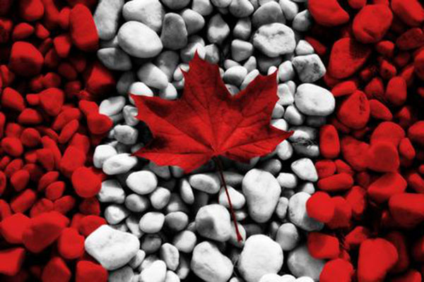 去加拿大生孩子一定可以获得加拿大国籍吗？
