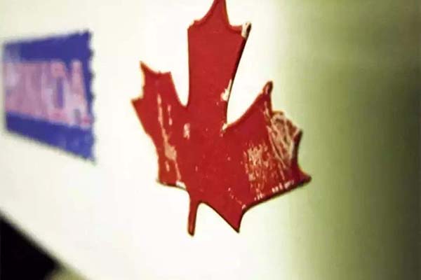 政策解读：加拿大生小孩父母入籍规定是什么？