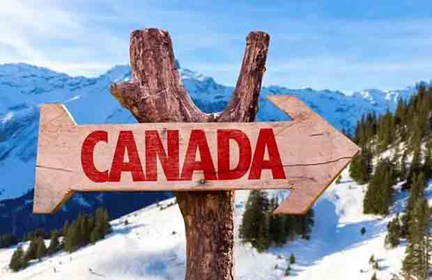 一个人去加拿大生孩子是否安全
