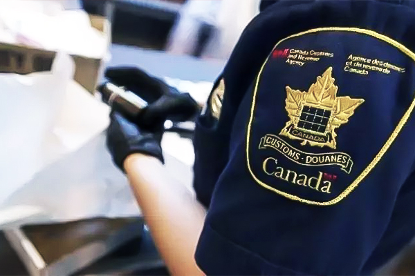 赴加生子被遣返的原因是什么
