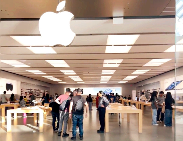 赴加生子为准父母带来的多重优势
