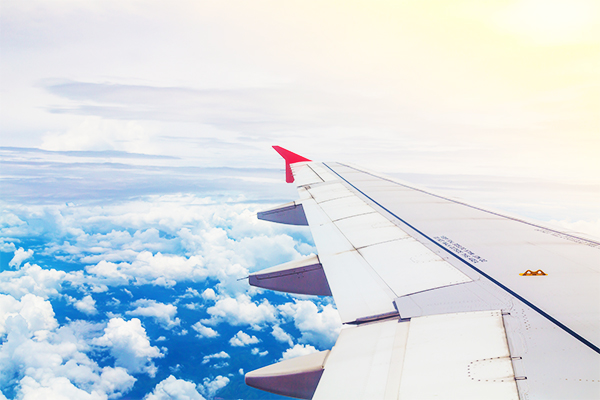 1764920606663920.jpg 赴加生子飞行途中的饮食指南