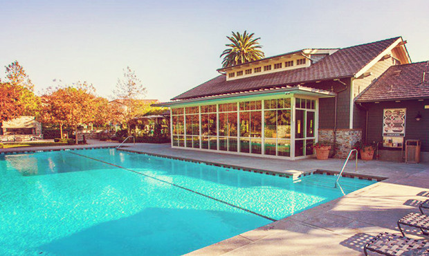 赴加产子深受明星喜爱的原因是什么
