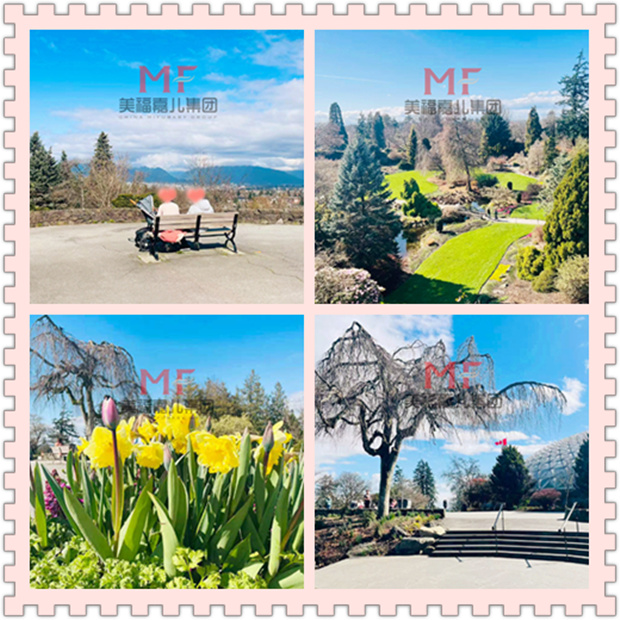 温哥华生子：春日伊丽莎白公园的惬意之行
