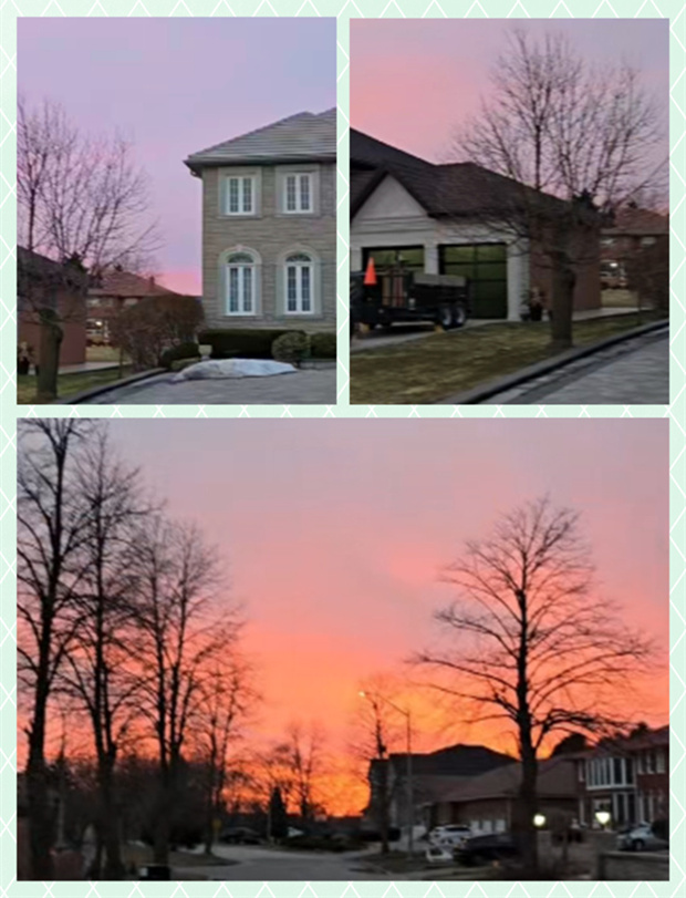 多伦多生子|绝美晚霞
