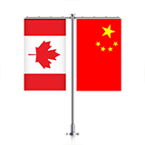 国内加拿大生子哪家好